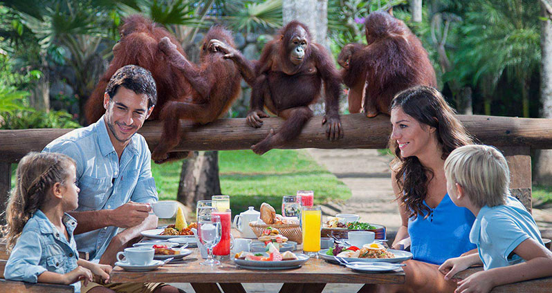 Bali Kids friendly activities